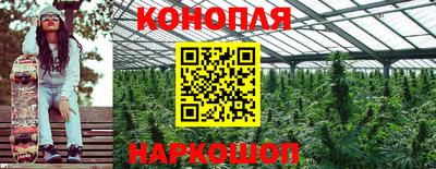метадон Новодвинск