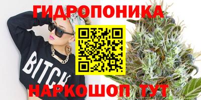 индика Новозыбков