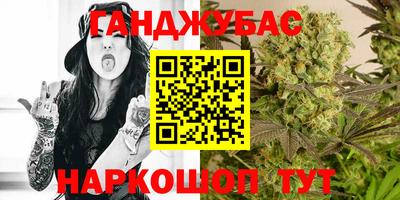 индика Новозыбков