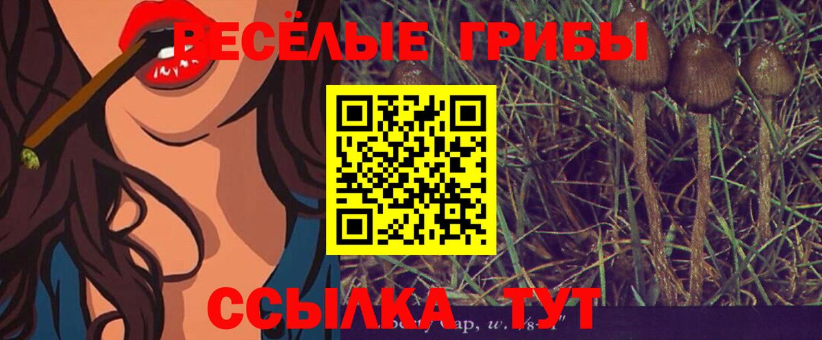 Свободный  Галлюциногенные грибы Cubensis  Вход с VPN  Галлюциногенные грибы Psilocybe 